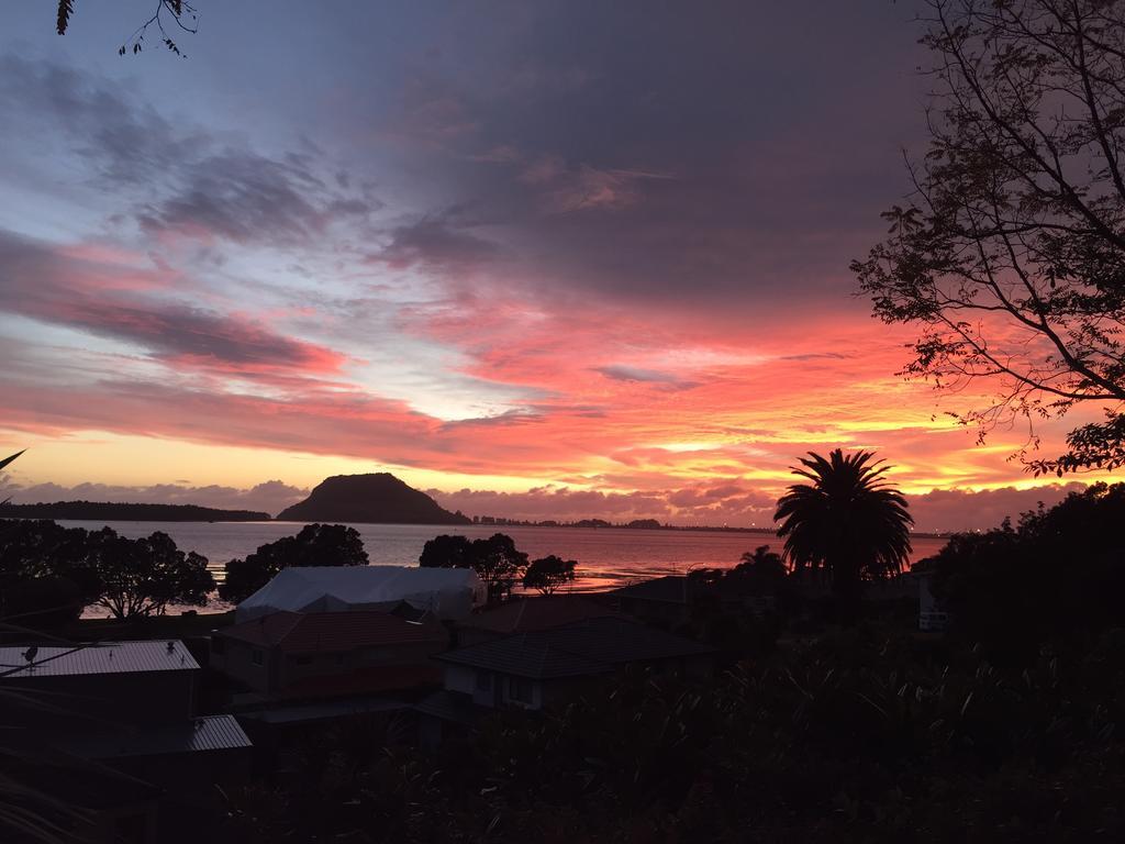 Matua Lodge 陶朗加 客房 照片
